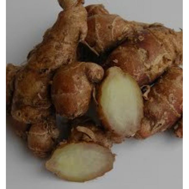 

CIKUR (100 GRAM)