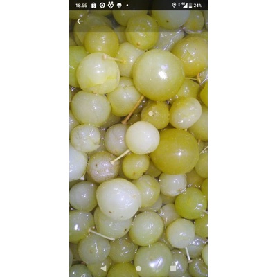 

Manisan Anggur bogor