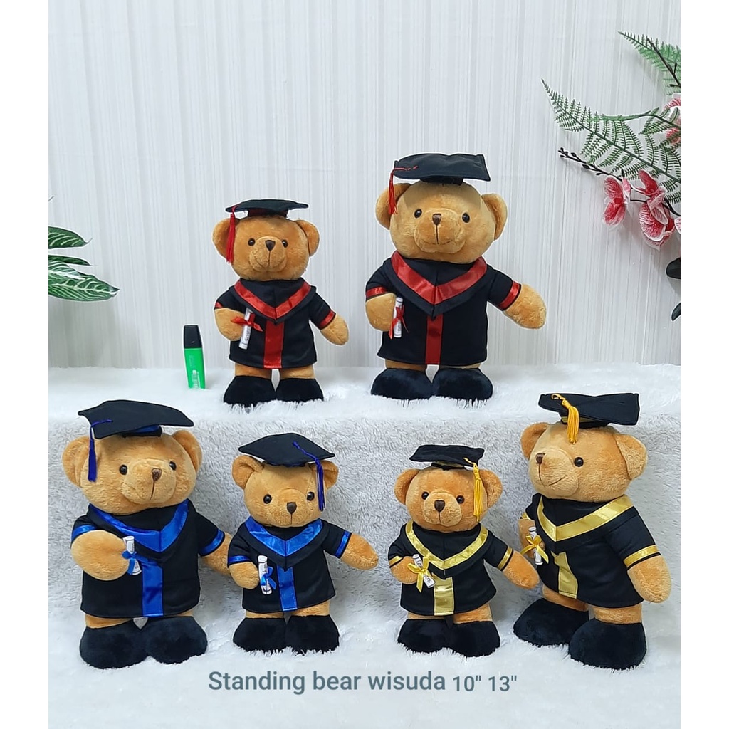 Boneka Wisuda Standing 27cm/10&quot;/Boneka Toga/Boneka Bear Toga/Kado Wisuda