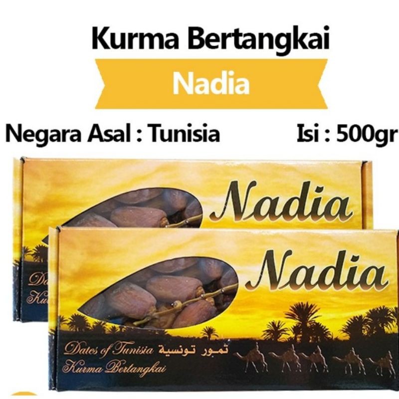 kurma tunisia tangkai//batang isi 12pcs