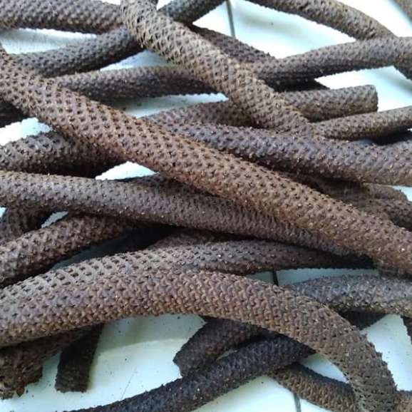 

MURAH JAMU KAYU WOLO / KAYU LANANG / OROXYLUM INDICUM 1KG