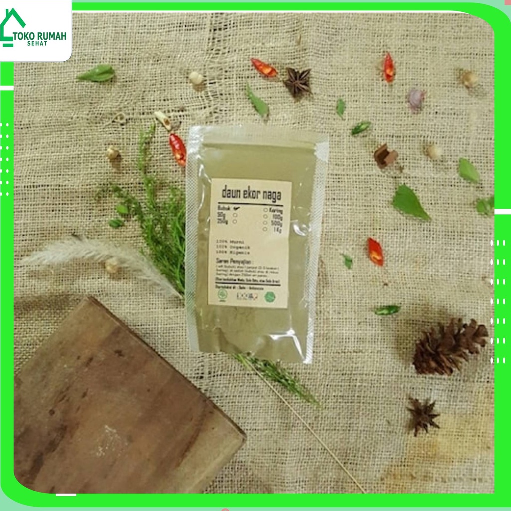 

DAUN EKOR NAGA BUBUK 250 GRAM - Rhaphidophora Pinnata - MURNI -