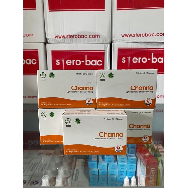 Channa Striata 500mg ( ekstrak ikan gabus )