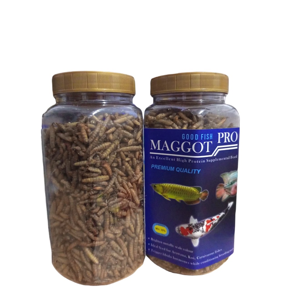 GOODFISH MAGGOT PRO 130 gram PAKAN IKAN PREDATOR chana lohan arwana