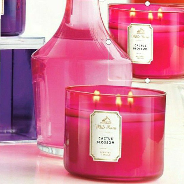 BATH &amp; BODY WORKS BBW CACTUS BLOSSOM 3-WICK SCENTED CANDLE 411 G LILIN WANGI 3 SUMBU UKURAN BESAR PENGHARUM RUANGAN