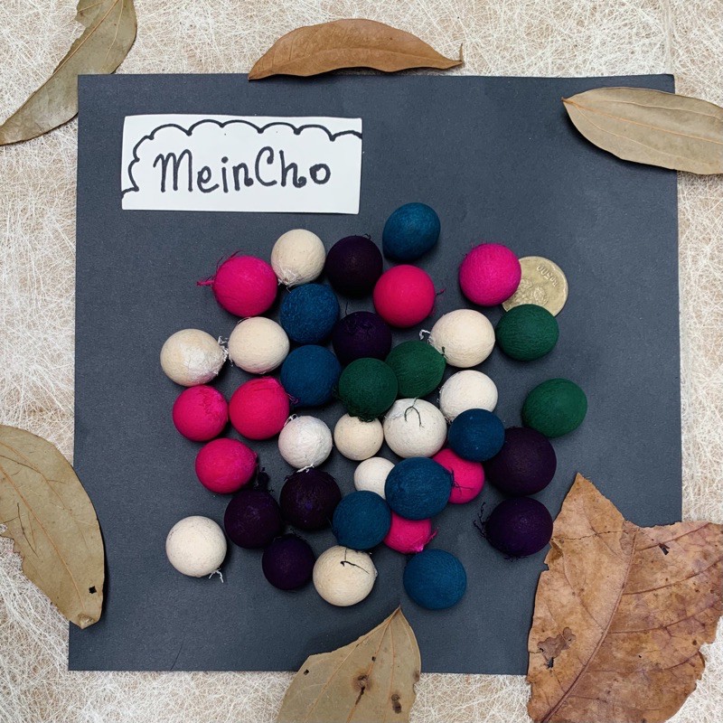 (5 biji) Kerajinan Kolase Biji Nyamplung Nyamplungan Kepala Boneka Properti Foto Dekorasi Rustik