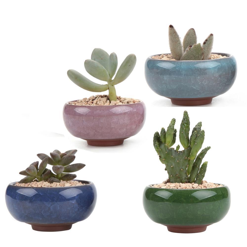  Pot  Bunga Tanaman Mini dengan Bahan Keramik  dan Bentuk 