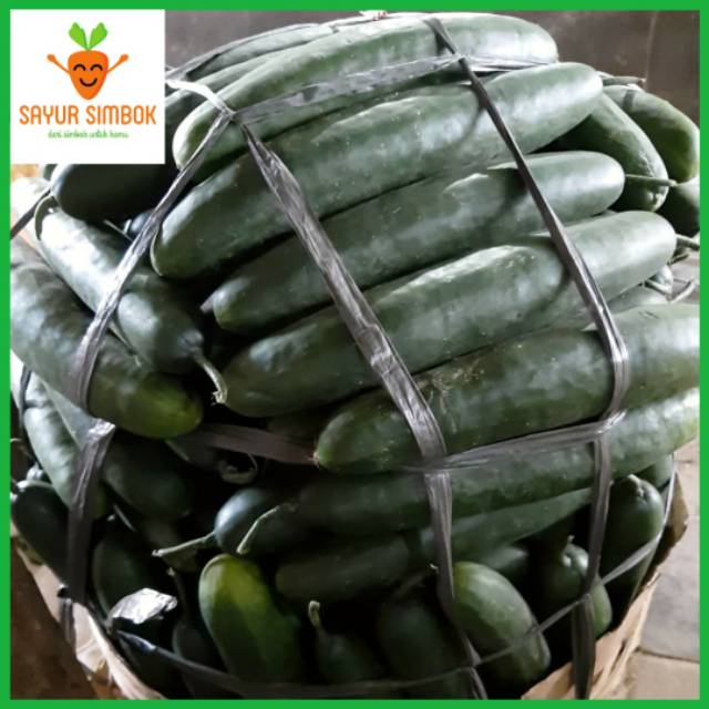 

Timun Jepang 500 Gram / Timun Kiury