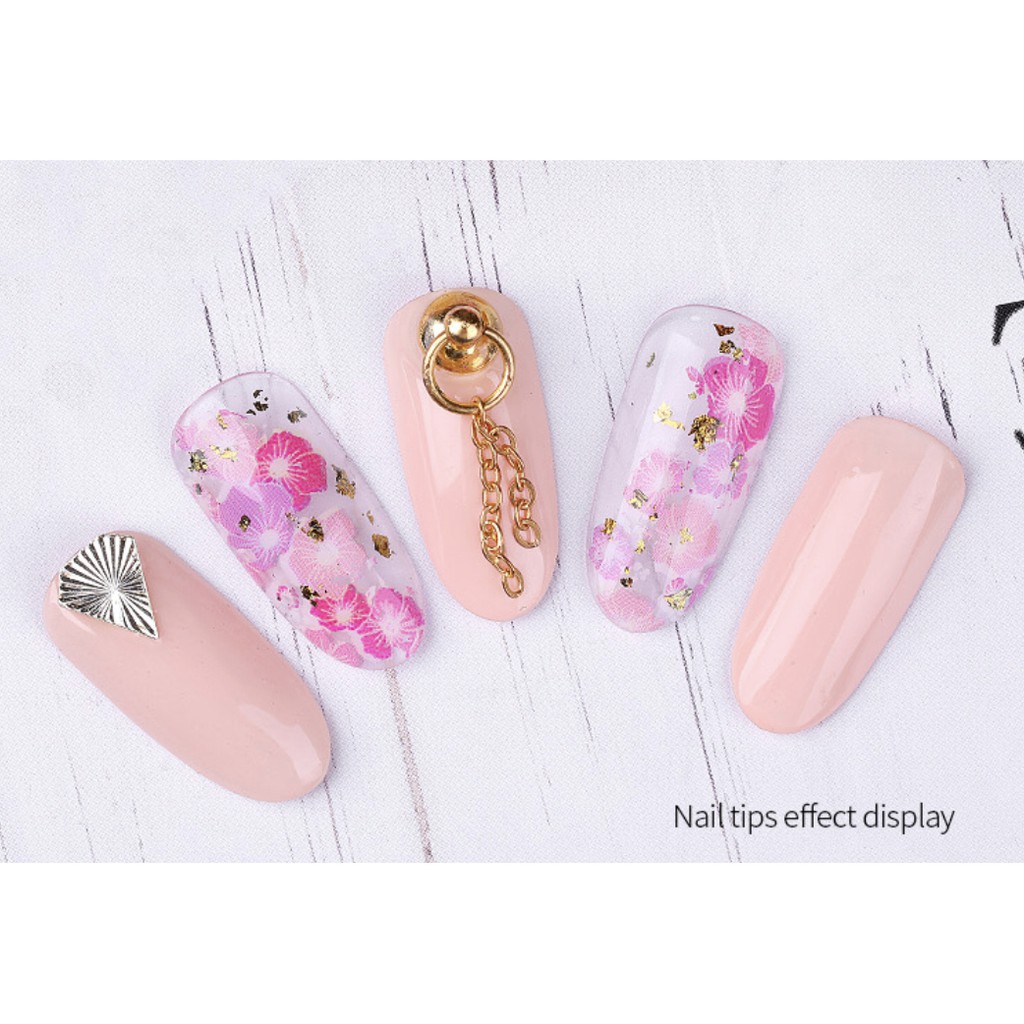 Nail Display Color Chart Nail Tips Kuku Palsu Desaign For Display Chart