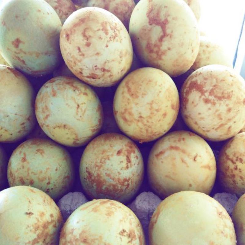 

Telur Asin Panggang Asli Brebes