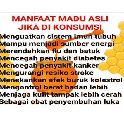 

Import Terbaik MADU KALIMANTAN BISA BAYAR DI TEMPAT