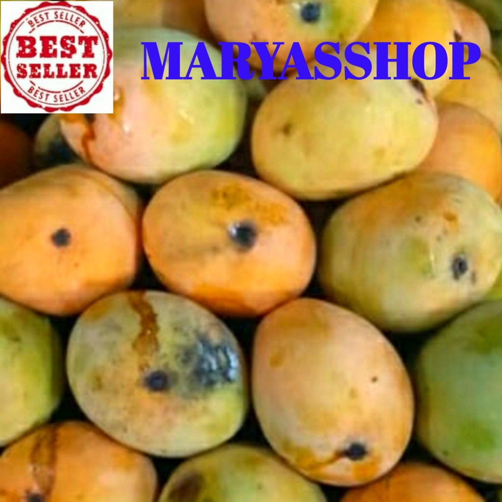 

BUAH MANGGA GEDONG GINCU 1 KG, MURAH - SUPER - SEGAR - FRESH DAN MANIS