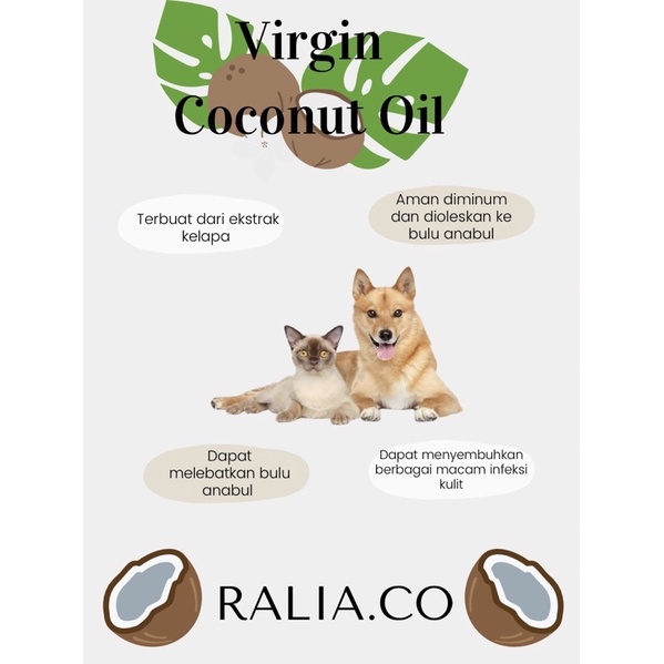 VCO VIRGIN COCONUT OIL OBAT SKABIES JAMUR KUTU ALAMI VCO KUCING ANJING KELINCI OTTER