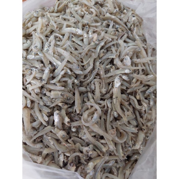 

Teri buntio putih 100gr-250gr