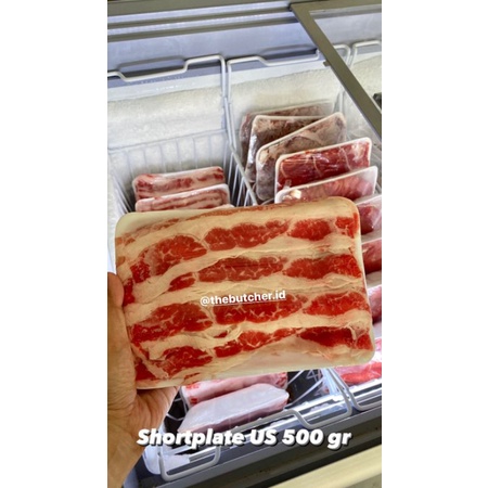 

shortplate US slice