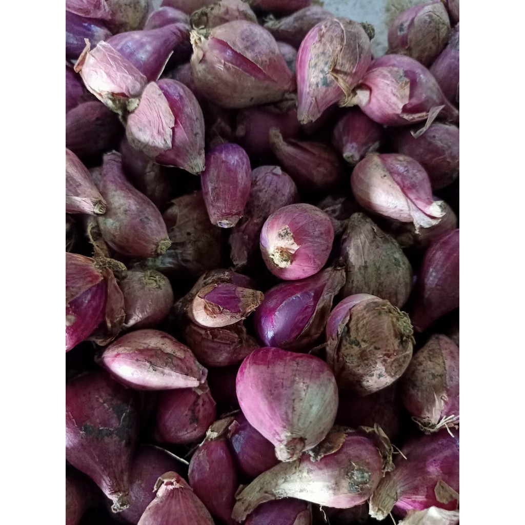 

Bawang Merah Brebes