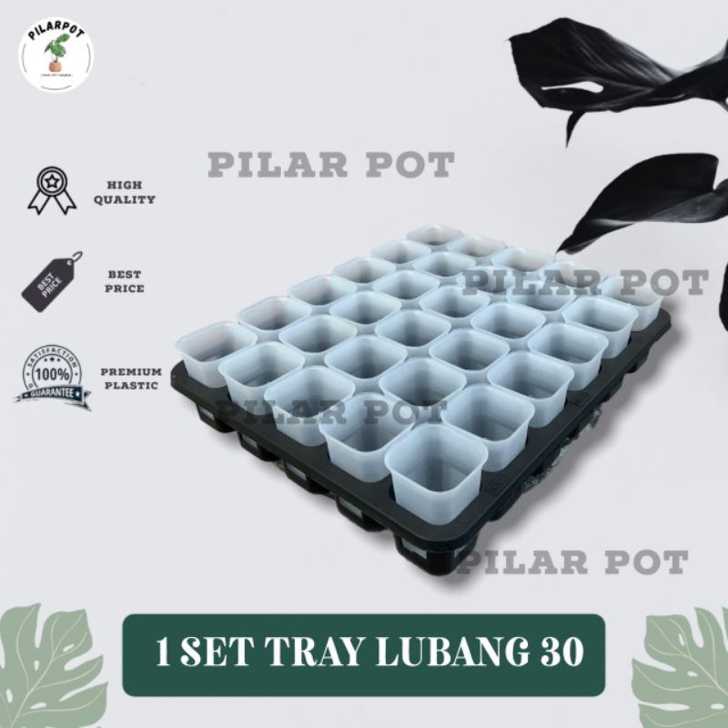 1 SET TRAY LUBANG 30 + POT NKT KOTAK 5CM BENING TRANSPARAN 30 PCS | TRAY SEMAI BIBIT