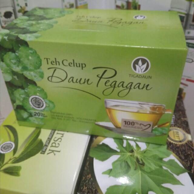 

Teh herbal pegagan