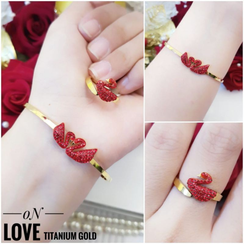 Titaniu. Gelang dan Cincin 0210o