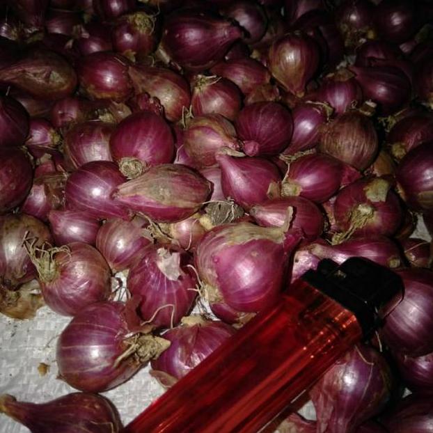 

⇧ Bawang merah Probolinggo .,.,