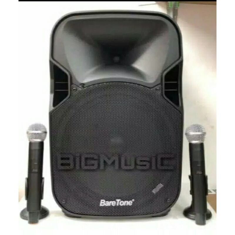

SpeakerportableBARETONE12'