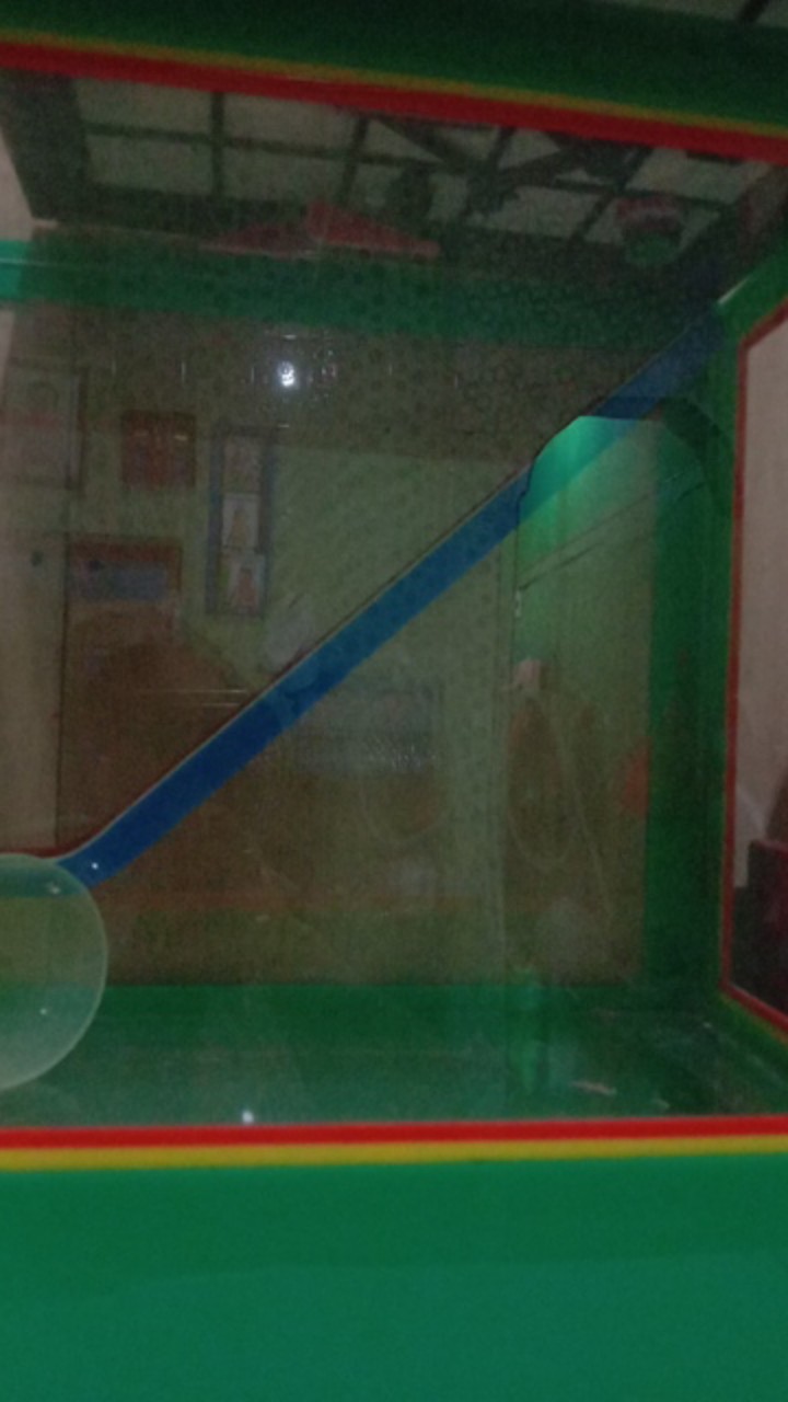 Aquarium Es Kelapa Kecil Acrylic Es Buah + Gayung Lion Star Lionstar