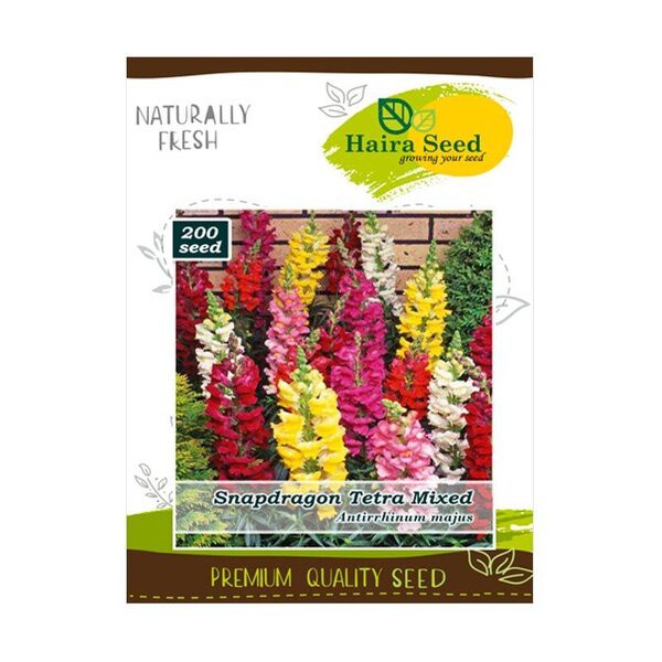 Benih Bibit Biji Bunga Snapdragon Tetra Mix Tanaman Hias Warna Warni