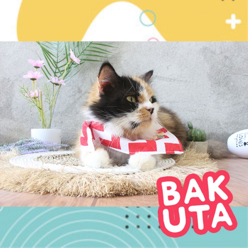 celemek makan imut untuk hewan kucing dan anjing lucu / baju kucing murah size kitten-adult