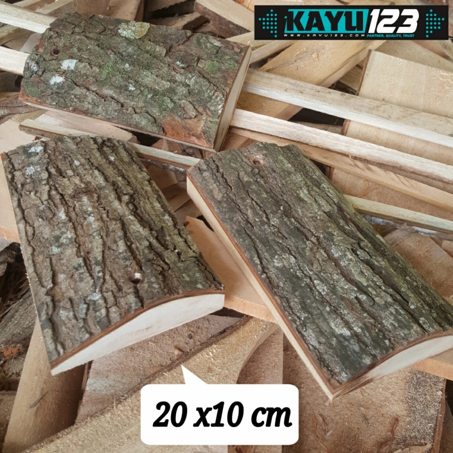 Media Tanam Tempel Papan Kulit Kayu Mahoni 20x10 cm (KK-02)