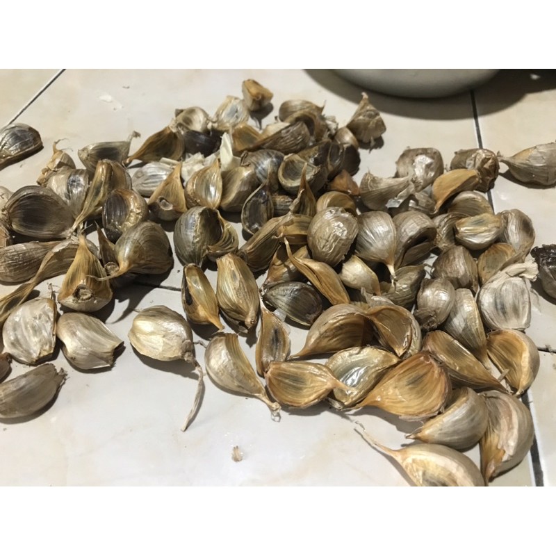 

bawang hitam kating