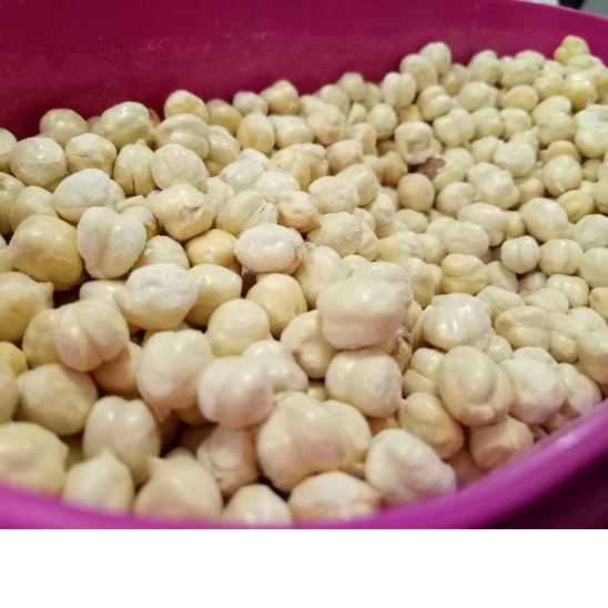 

Terbaru Kacang arab Super ukuran 1 kg