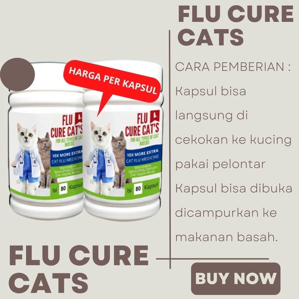 Obat Batuk Dan Flu Berat Pada Kucing / Obat Flu Kucing FEZONE