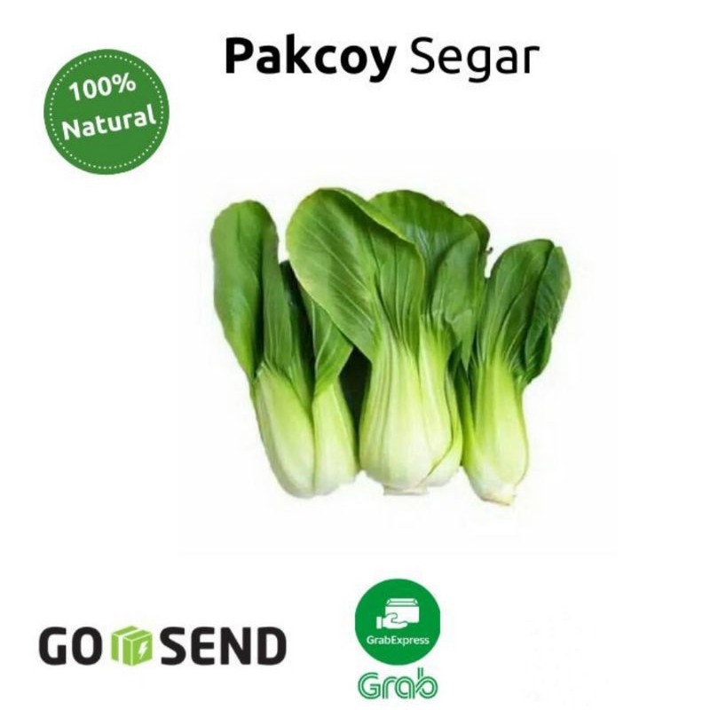 

Pakcoy Hijau 1Kg Fresh.