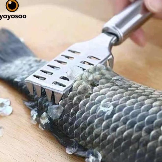 PEMBERSIH SISIK IKAN STAINLESS / SERUTAN PISAU SISIK IKAN STAINLESS