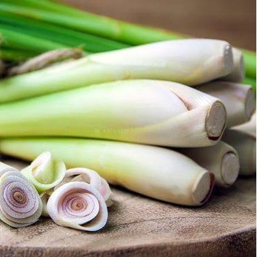 

Sereh Segar Organik Alami -Bumbu Herbal