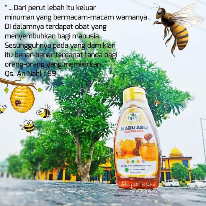

Madu Asli Multifora