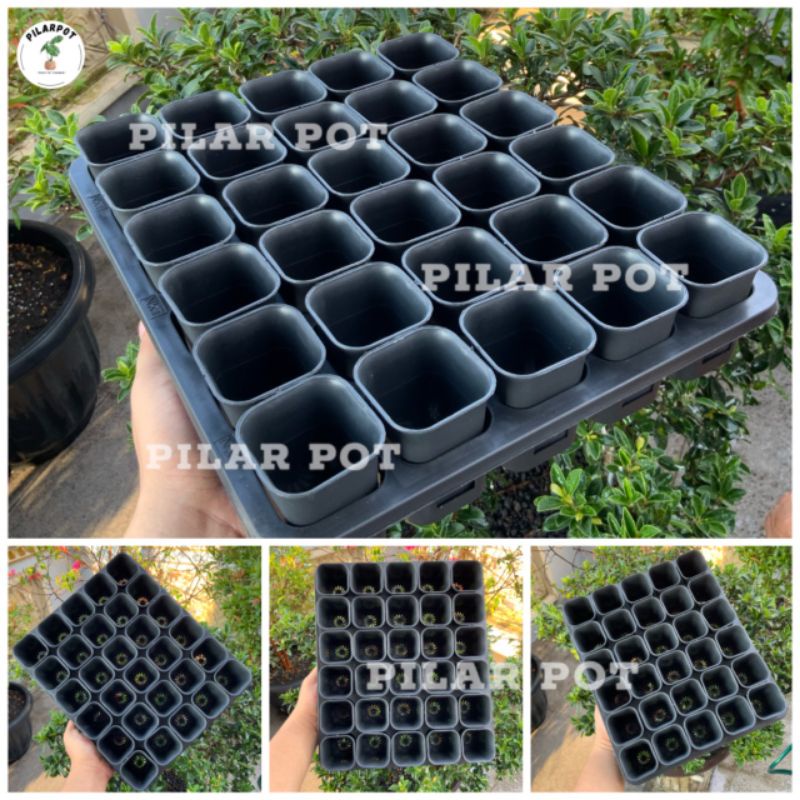 1 SET TRAY LUBANG 30 + POT NKT KOTAK 5CM HITAM 30 PCS | TRAY SEMAI BIBIT