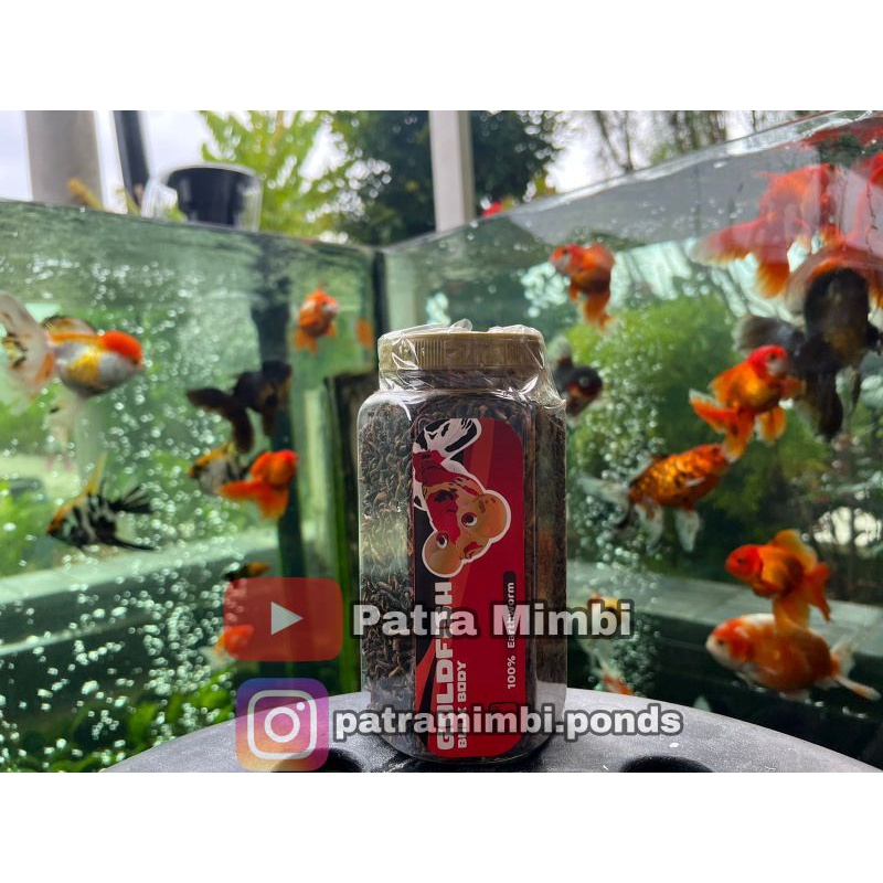 Pakan Makanan Ikan Mas Koki Goldfish Bulk Body Cacing Kering PATRA MIMBI