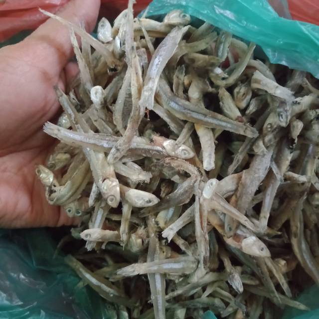 

Ikan Teri Medan