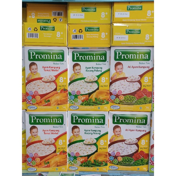 Promina bubur tim 8+