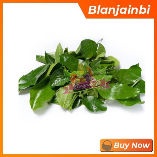 

Daun Melinjo Bandung Area