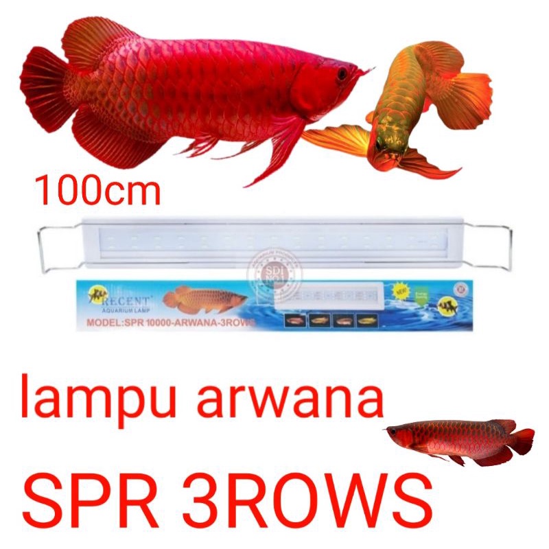 lampu led aquarium led khusus ikan arwana SPR 10000 3ROWS