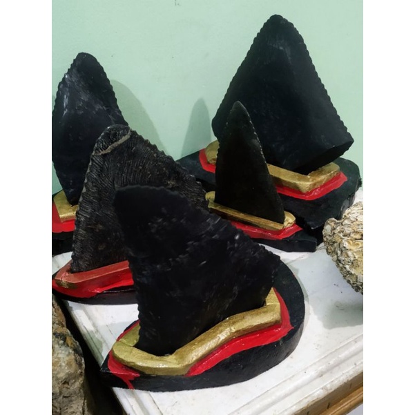 Gigi Petir/Batu Petir