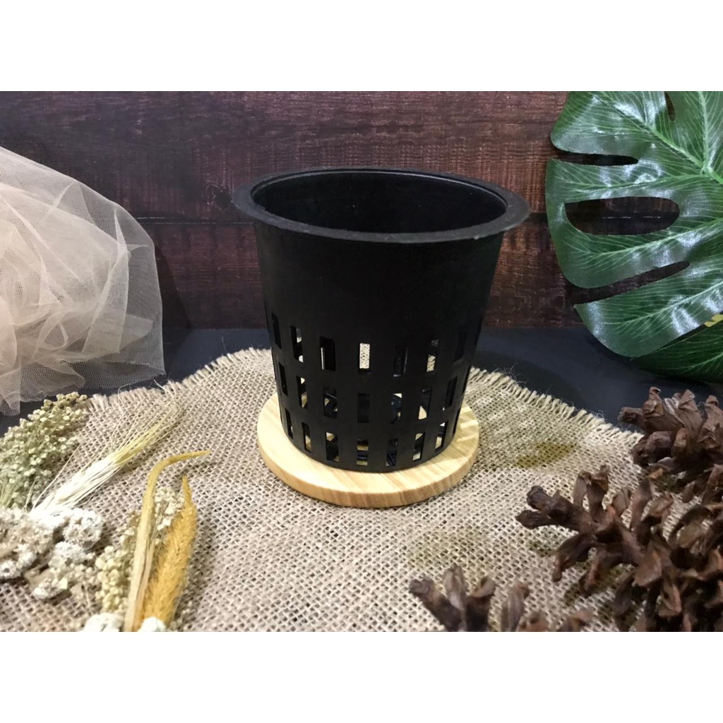 Netpot Hidroponik 10cm grosir