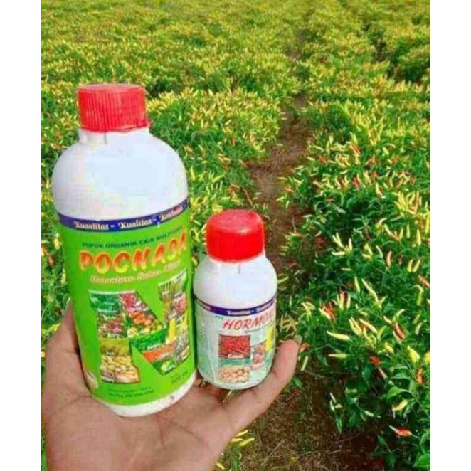POC NASA DAN HARMONIK PELEBAT DAN PENYUBUR TANAMAN ORGANIK