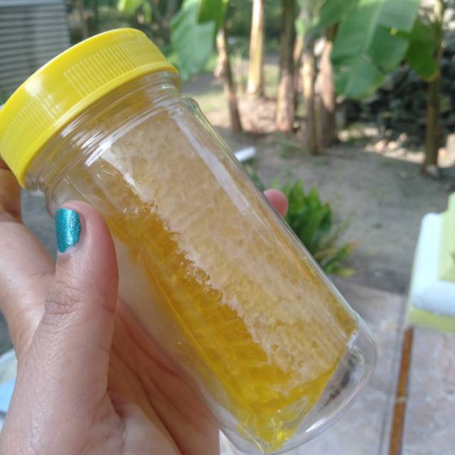 

Madu sarang melifera 125 gram