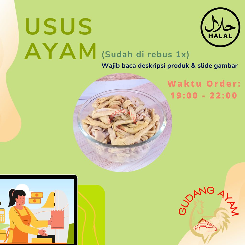 

Usus Ayam