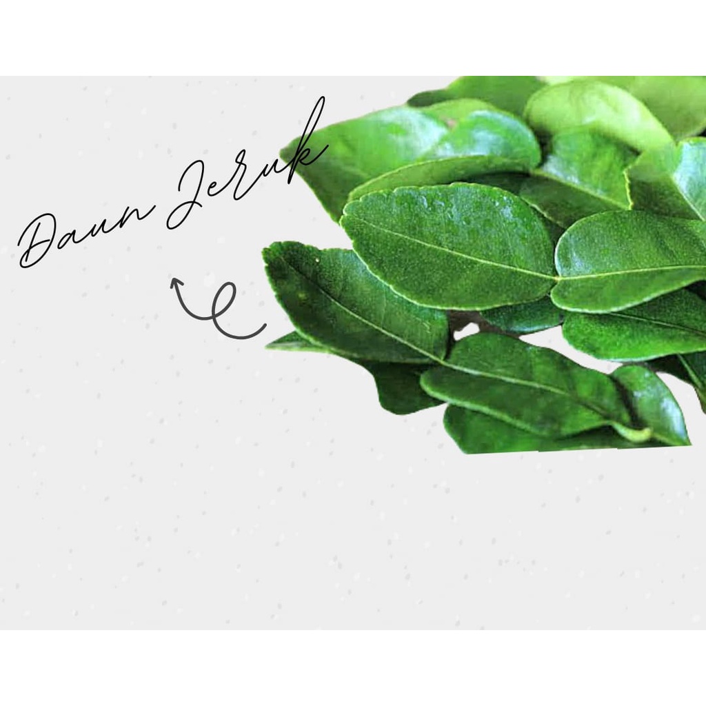 

Daun Jeruk