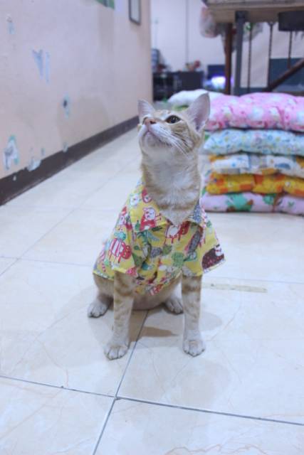 Kemeja kuning motif gambar kucing lucu untuk kucing dan anjing / baju kucing murah size S M L XL