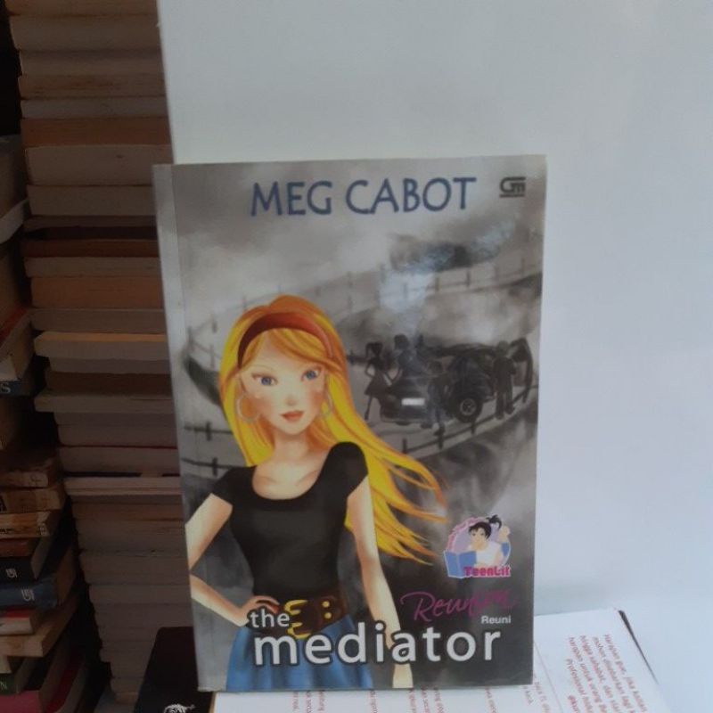 The Mediator Novel